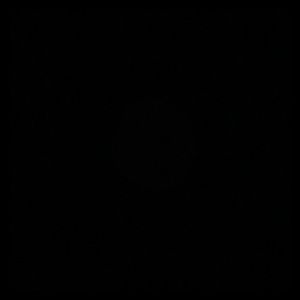 Meet your Posher, Bailey